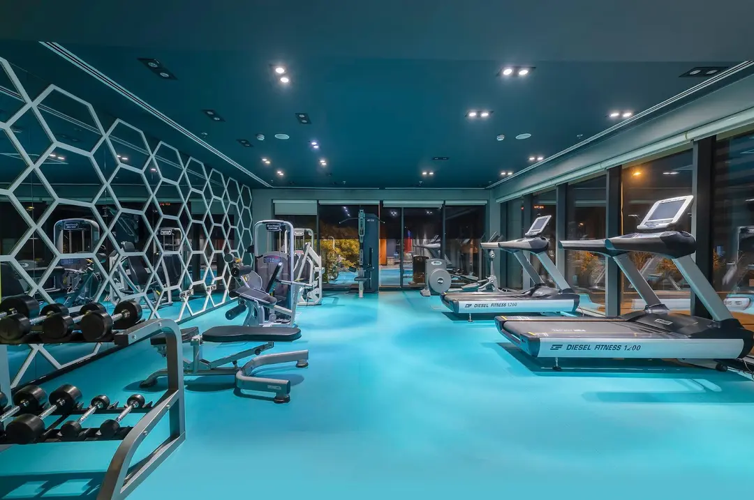 Holiday Inn Kayseri-Düvenönü — Kayseri — küçük resim 3