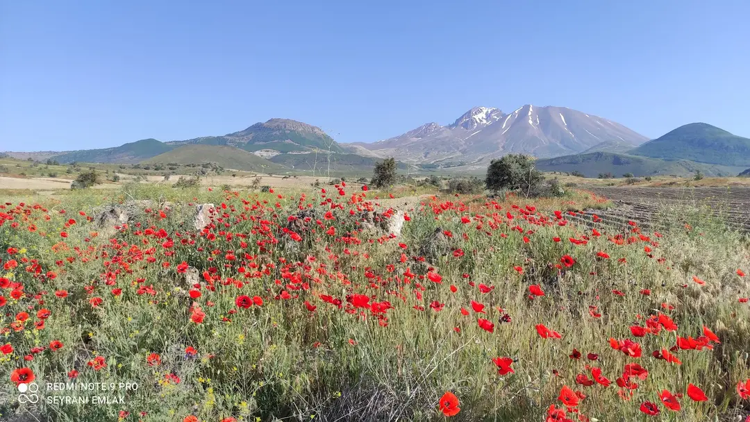 BELESME YAYLASI — Kayseri — küçük resim 8