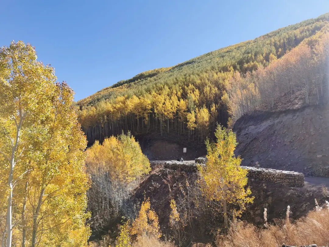 Ortaseki Forests — Kayseri — küçük resim 4