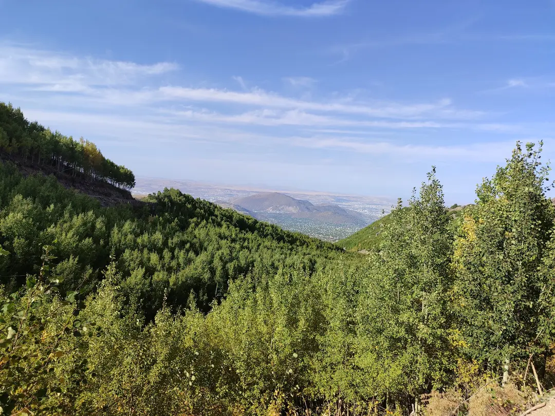 Ortaseki Forests — Kayseri — küçük resim 8