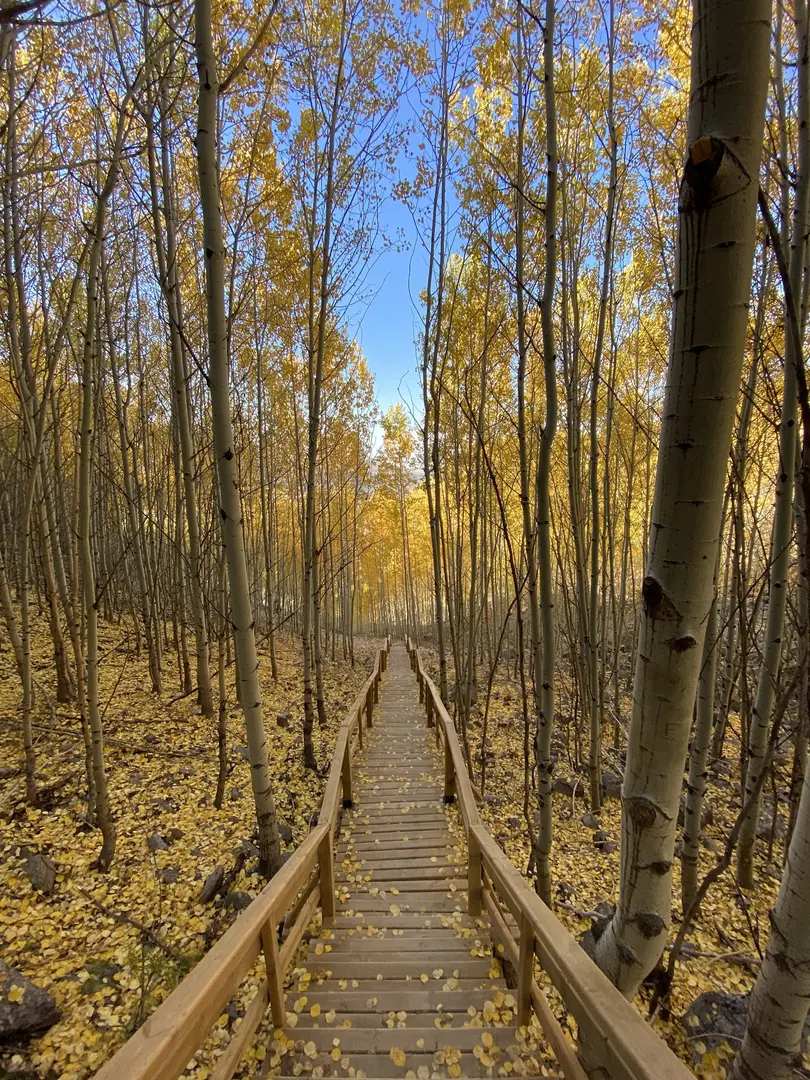 Ortaseki Forests — Kayseri — küçük resim 2