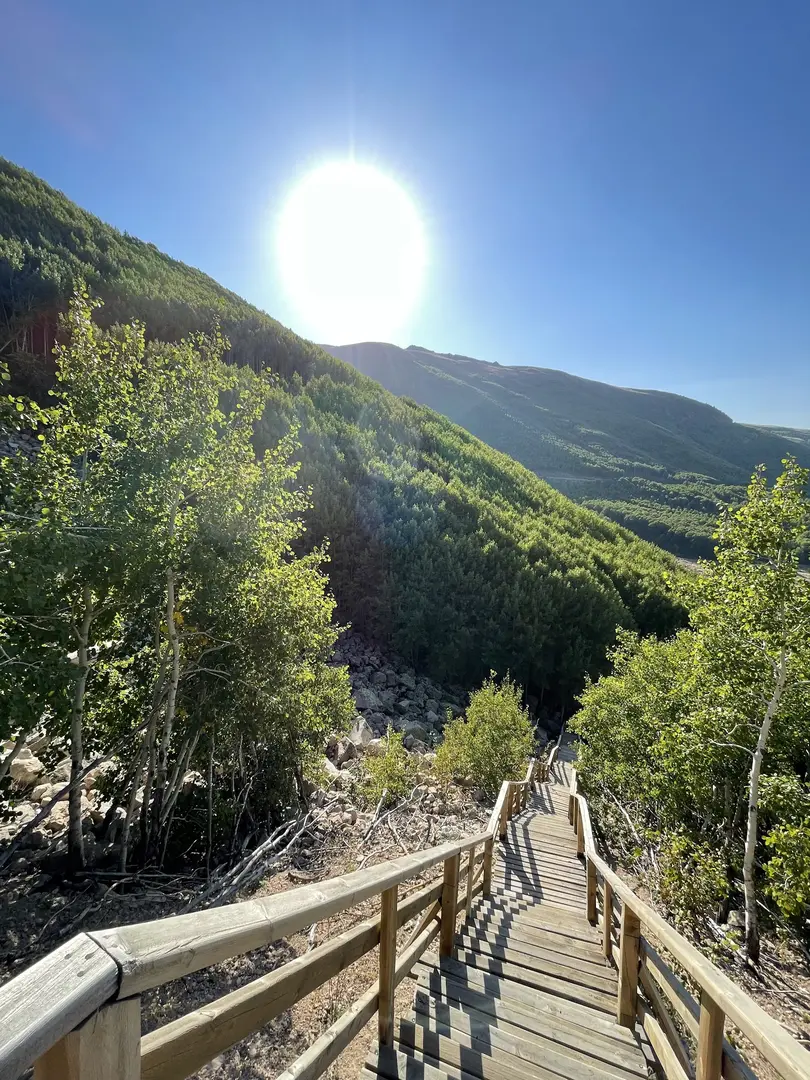 Ortaseki Forests — Kayseri — küçük resim 5