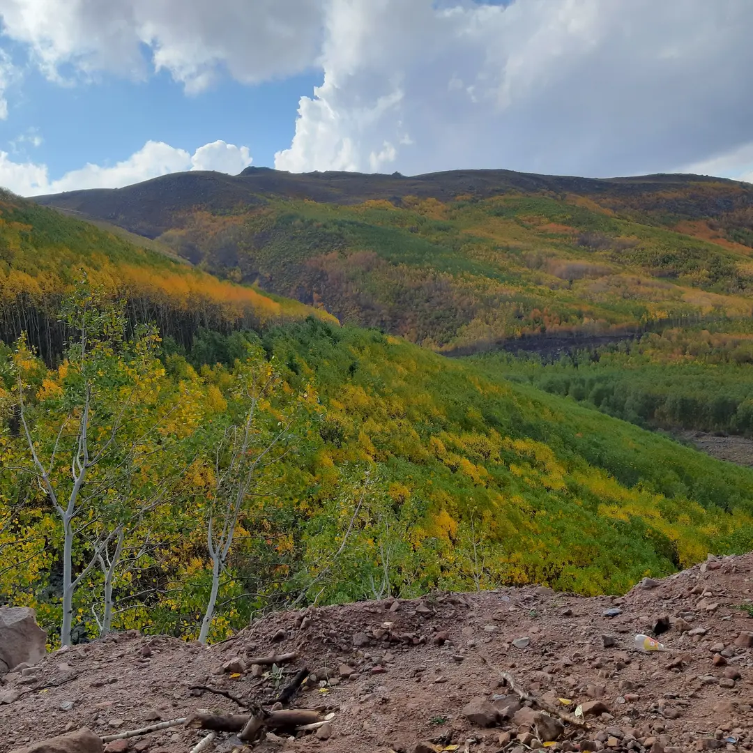 Ortaseki Forests — Kayseri — küçük resim 6