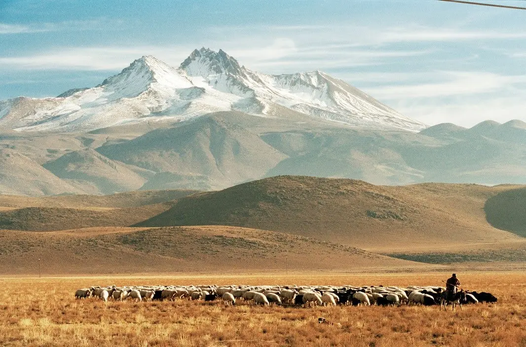 Sultansazlığı National Park — Kayseri — küçük resim 3