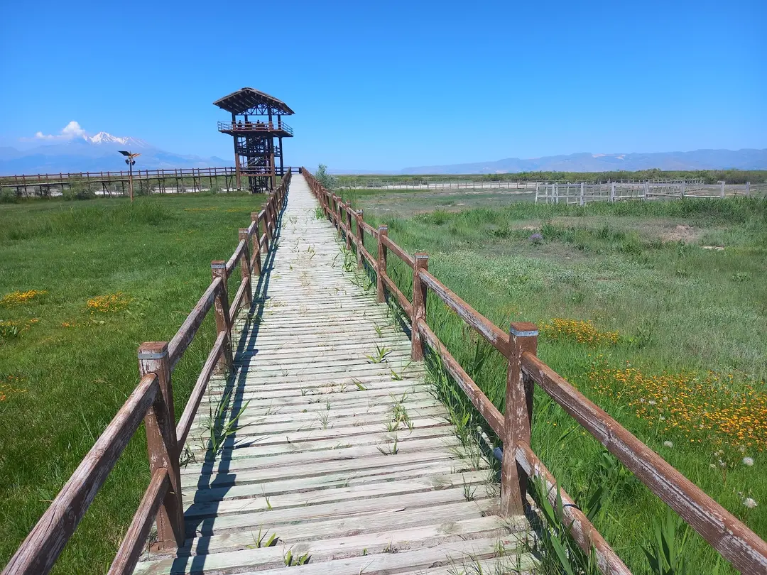Sultansazlığı National Park — Kayseri — küçük resim 2