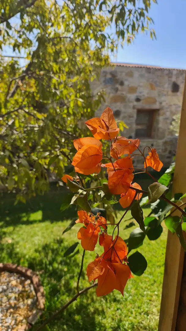 Derin Taş-Bungalow Datca — Muğla — küçük resim 6
