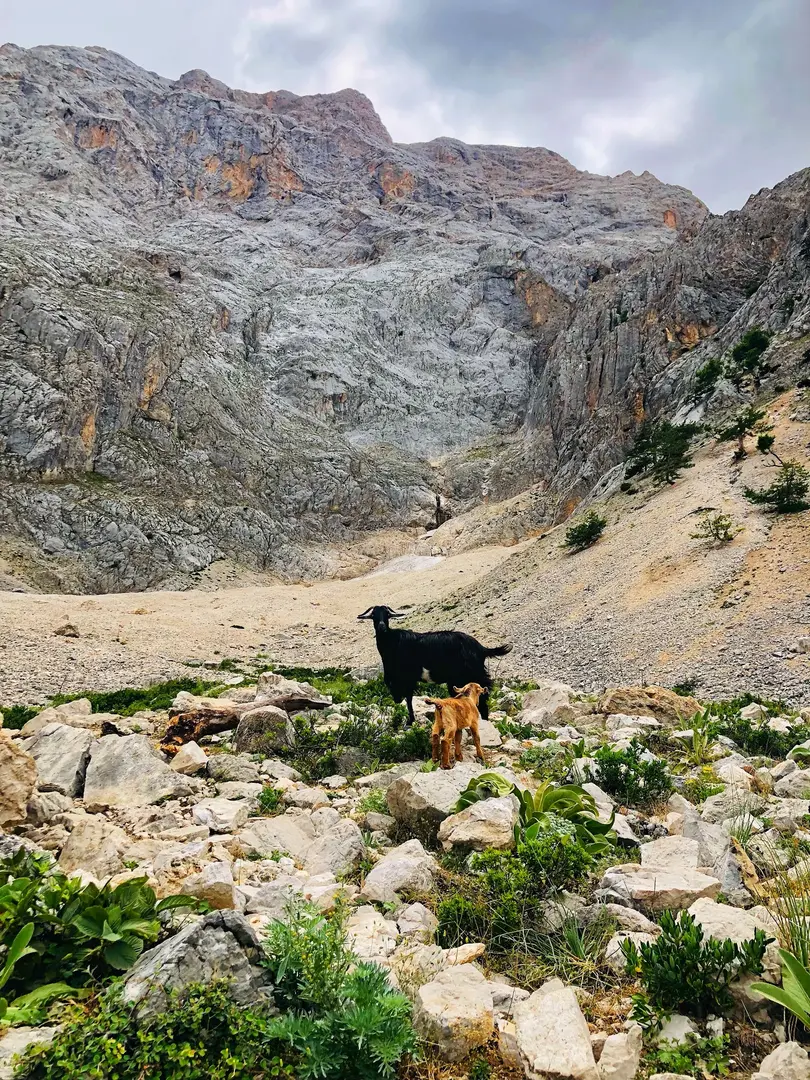 Hacer Forests — Kayseri — küçük resim 7