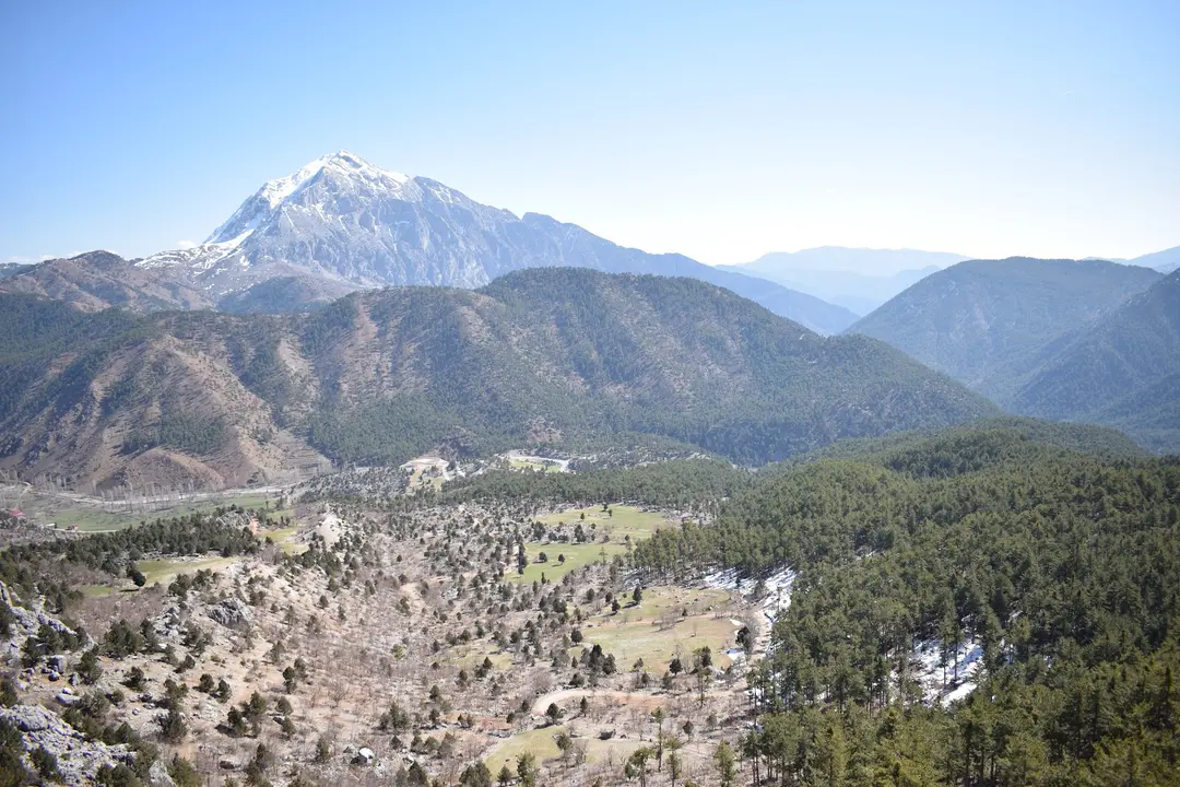 Hacer Forests — Kayseri — küçük resim 3