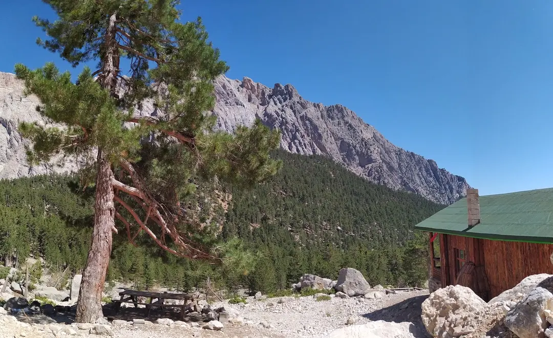 Hacer Forests — Kayseri — küçük resim 5