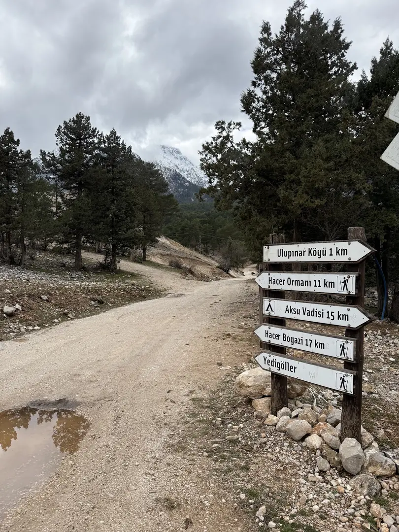 Hacer Forests — Kayseri — küçük resim 8