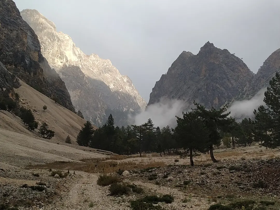 Hacer Forests — Kayseri — küçük resim 6