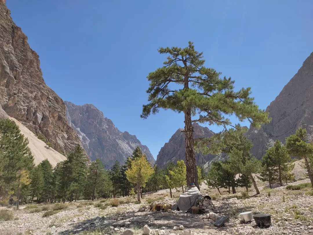 Hacer Ormanları Mountain House — Kayseri — küçük resim 4