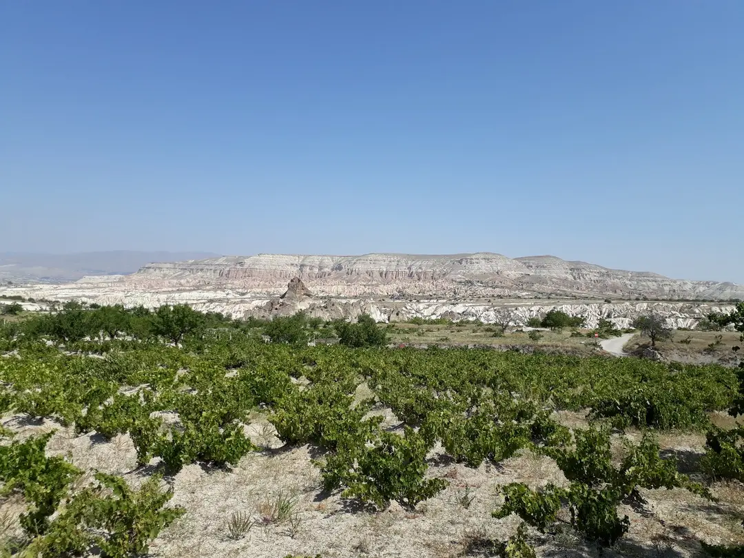 Kaya Camping — Nevşehir — küçük resim 4