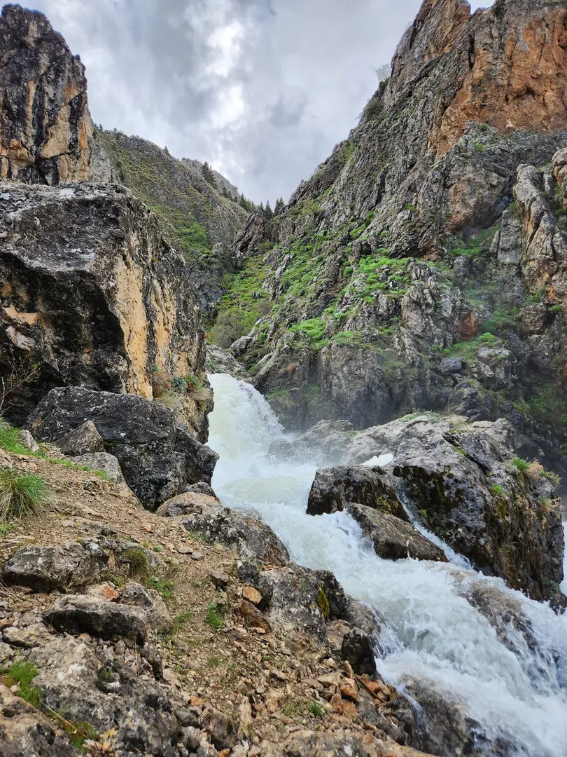 Küçükkünye Homurlu Mesire Alanı — Kayseri — küçük resim 2