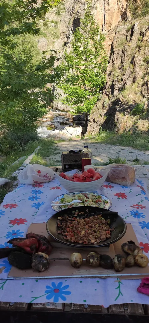 Küçükkünye Homurlu Mesire Alanı — Kayseri — küçük resim 7