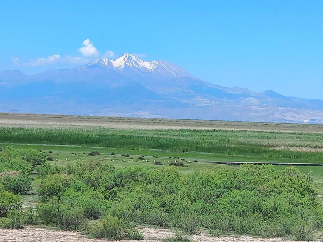 Sultan Sazlığı Sultan Pansion — Kayseri — küçük resim 3