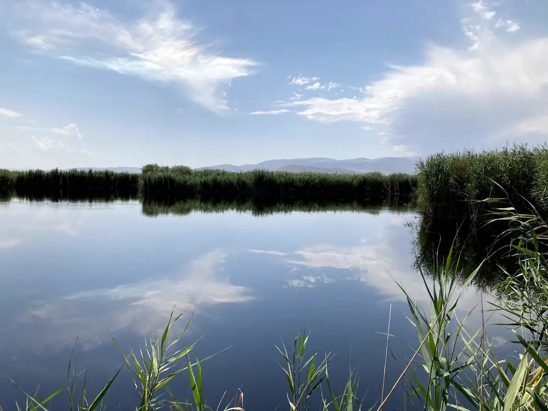 Sultan Sazlığı Sultan Pansion — Kayseri — küçük resim 4