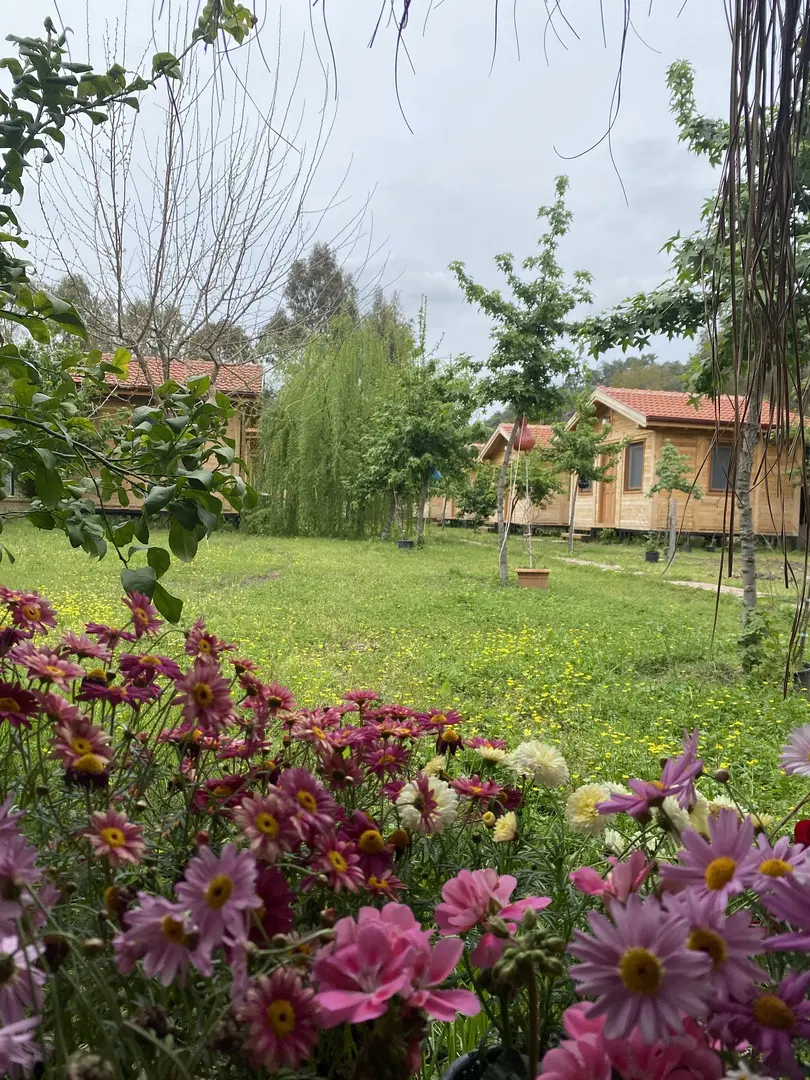 İnlice Ünzile Bungalow — Muğla — küçük resim 4