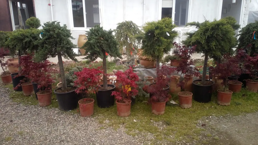 Yeni Camping — Nevşehir — küçük resim 3