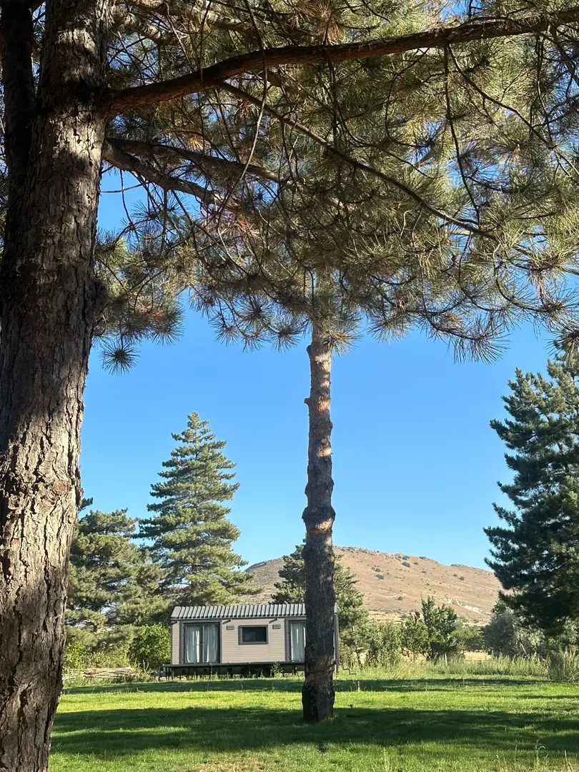 Tiny Pine Cappadocia — Nevşehir — küçük resim 9