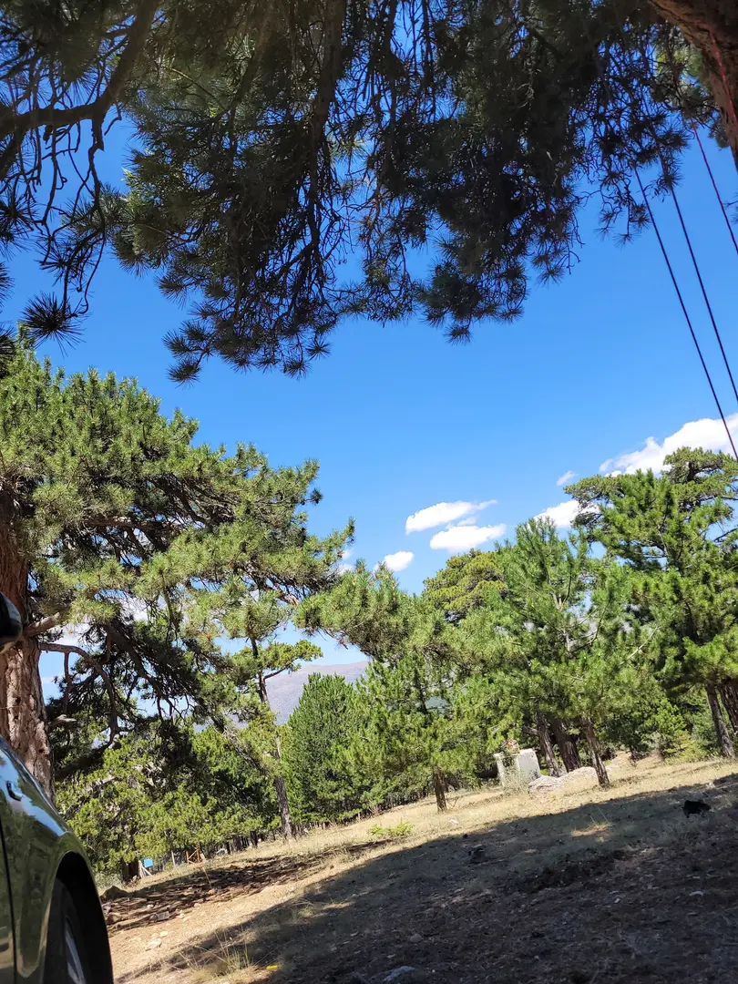 Kiziloren Kamp Yeri — Konya — küçük resim 2