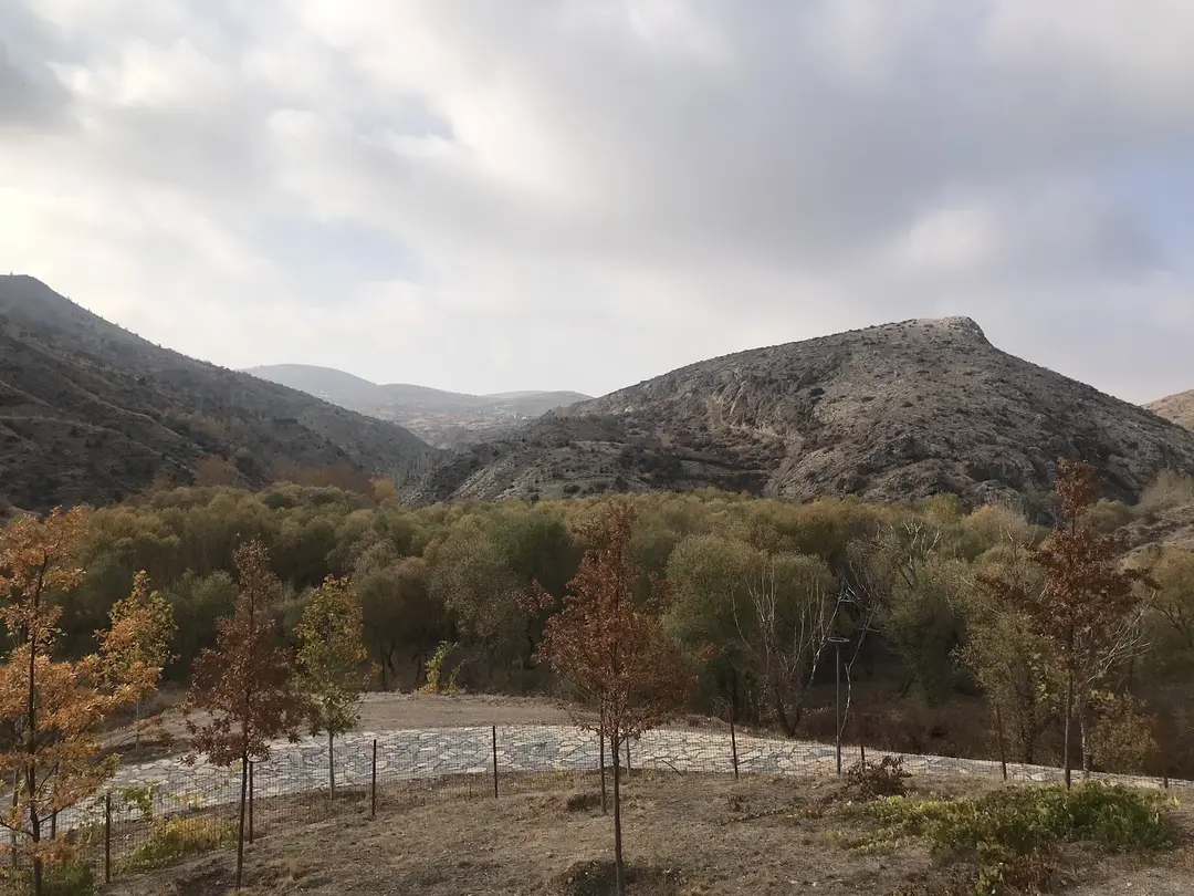 Tifake Sille izci Kamp Alani