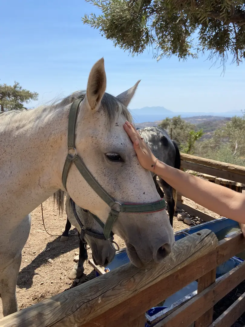 Kundalini Glamping — Muğla — küçük resim 4