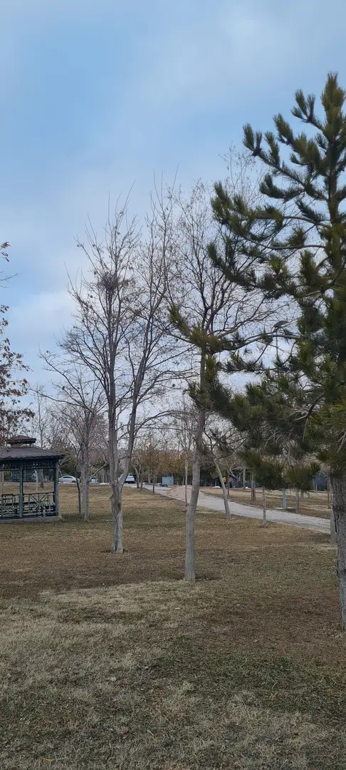 Rahmet Ormanı — Konya — küçük resim 9