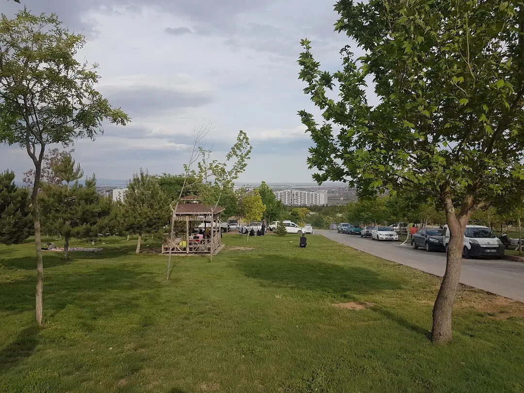 Rahmet Ormanı — Konya — küçük resim 2