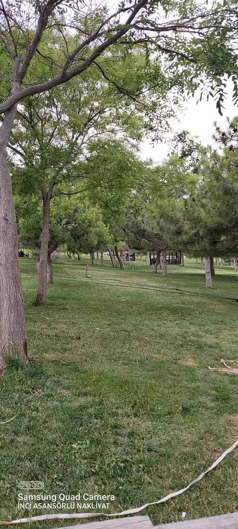 Rahmet Ormanı — Konya — küçük resim 4