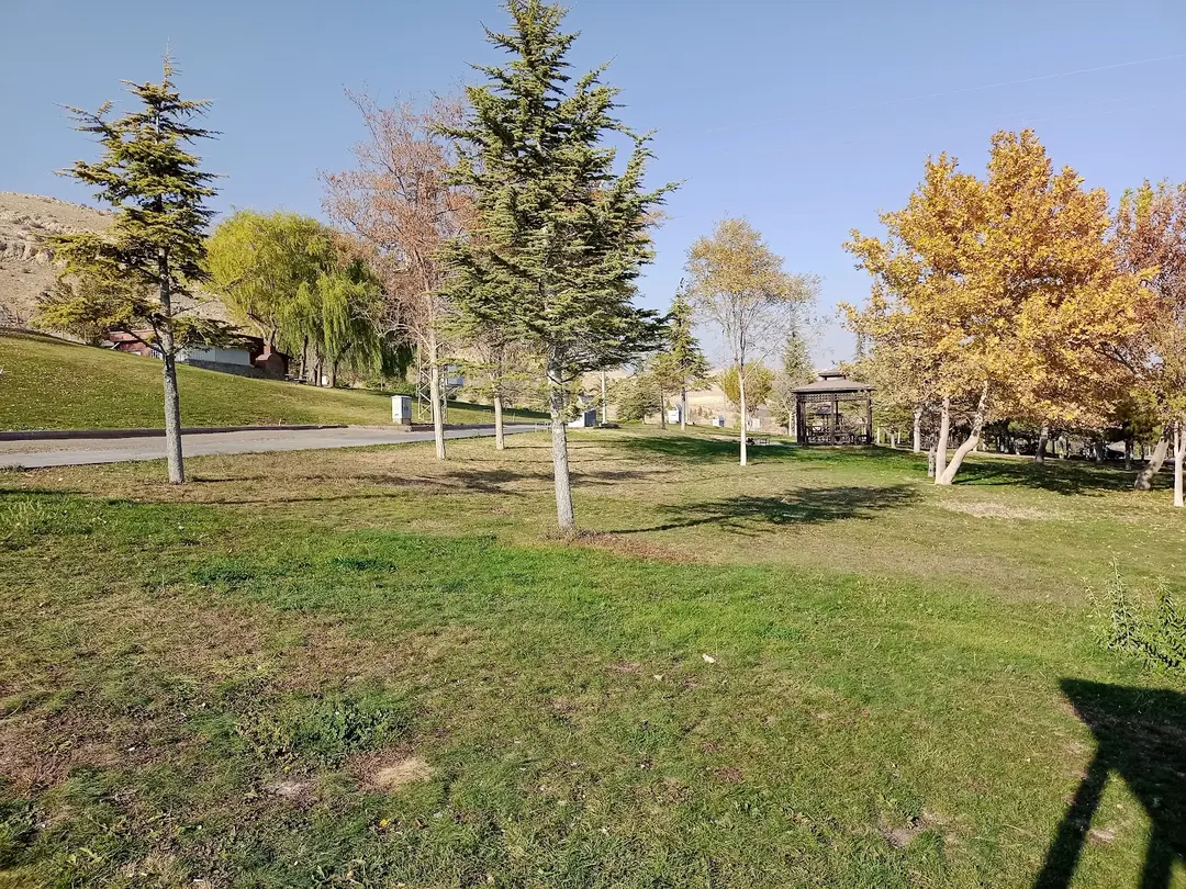 Rahmet Ormanı — Konya — küçük resim 8