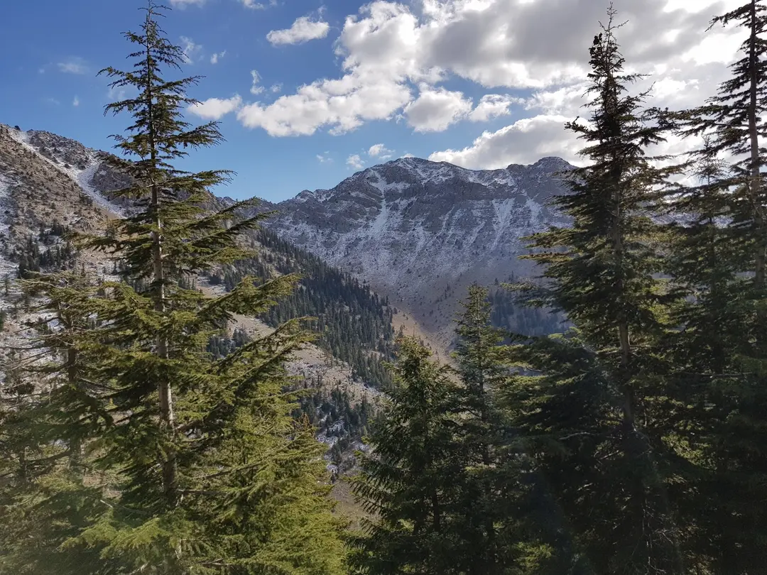 Kocakoru Tabiat Parkı — Konya — küçük resim 6