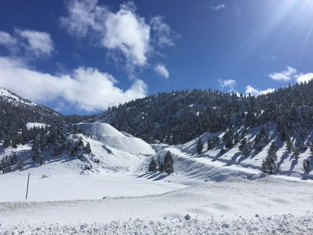 Kocakoru Tabiat Parkı — Konya — küçük resim 8