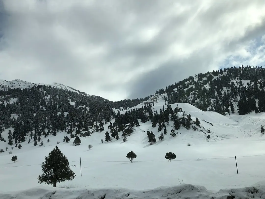 Kocakoru Tabiat Parkı — Konya — küçük resim 5