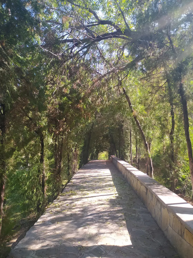 Meram Mesire Alanı — Konya — küçük resim 7