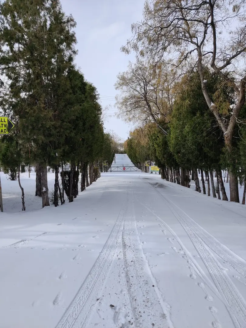Meram Mesire Alanı — Konya — küçük resim 4