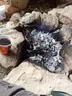 Tamu'nun Mağarası