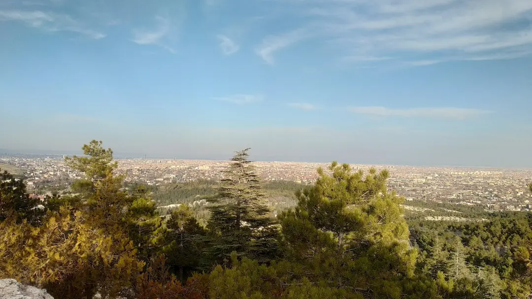 Şehitler Forest — Konya — küçük resim 4