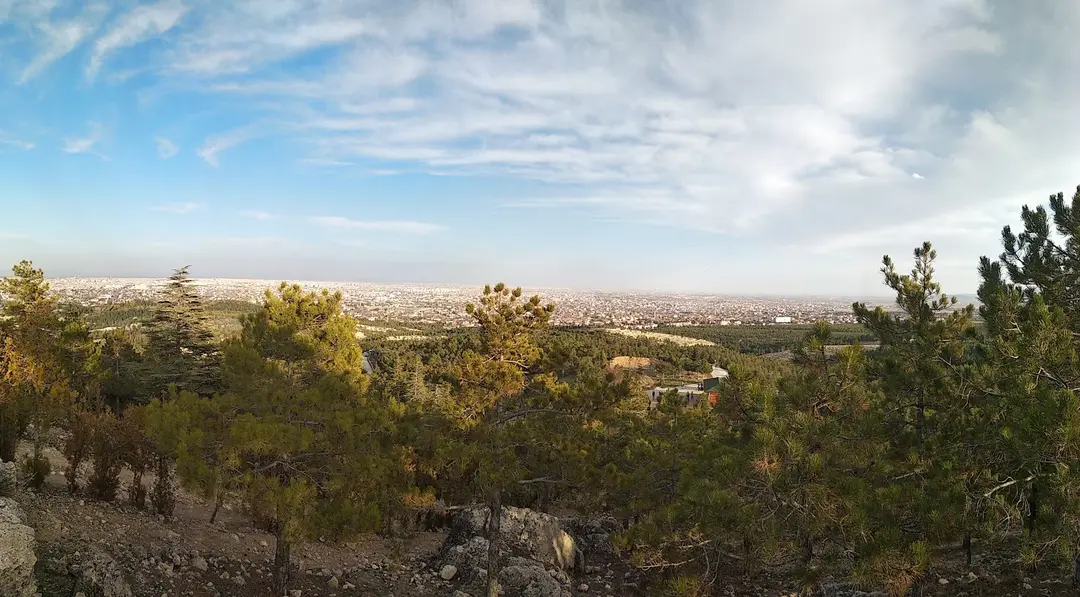 Şehitler Forest — Konya — küçük resim 5