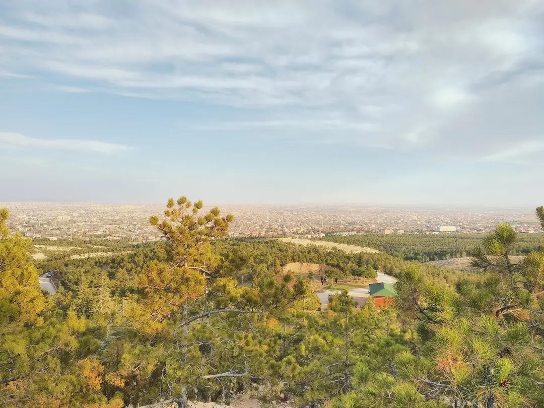 Şehitler Forest — Konya — küçük resim 3