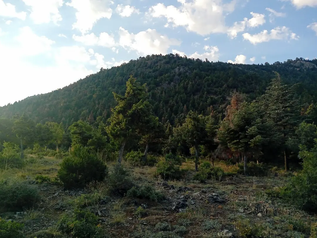 Yakamanastır Nature Park — Konya — küçük resim 7