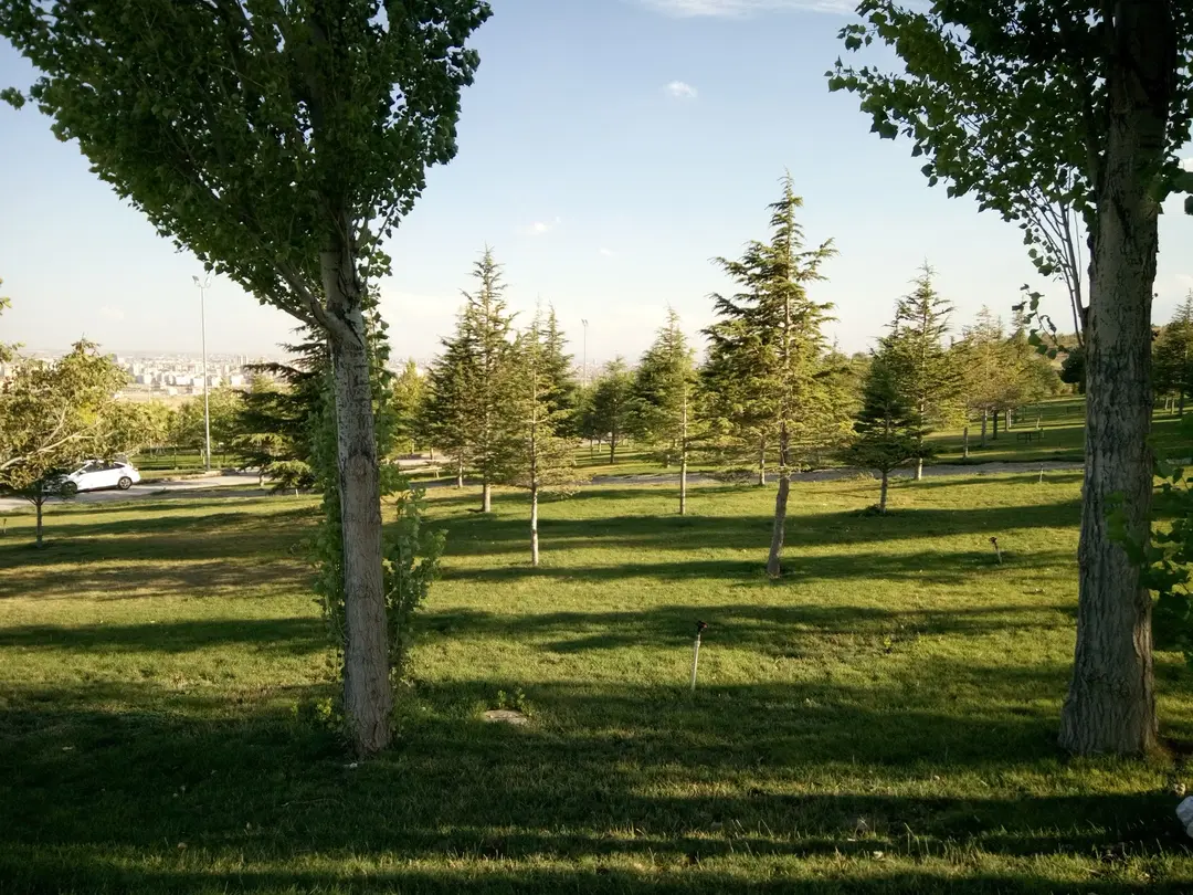 Rahmet Wald Picknickplatz — Konya — küçük resim 3