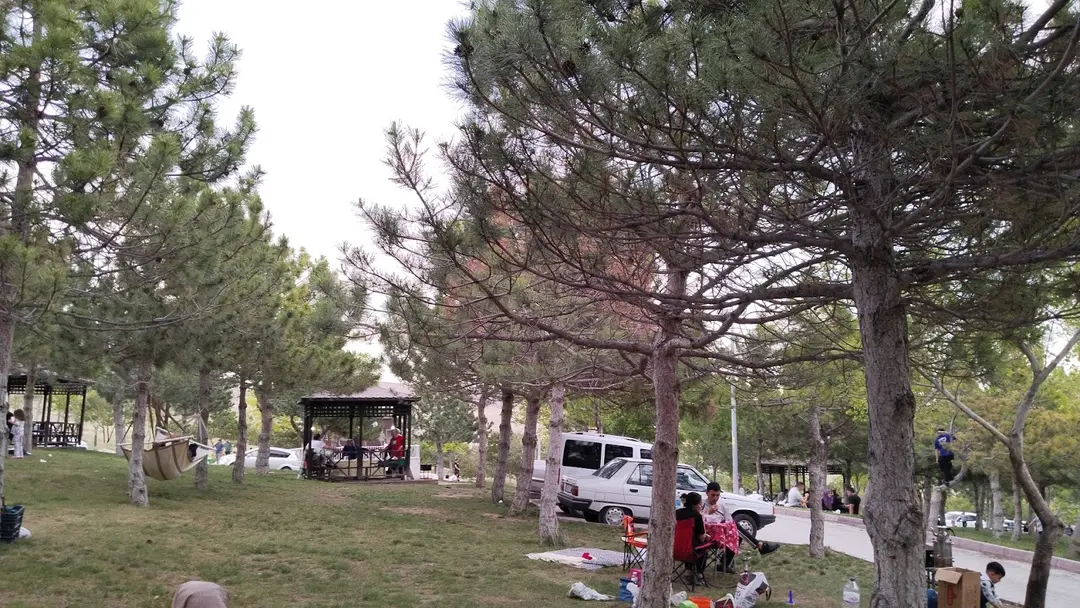 Rahmet Wald Picknickplatz — Konya — küçük resim 9