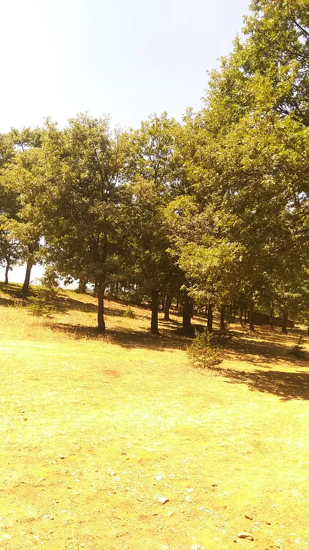 Gölcük Piknik Et Göl Tesisleri — Konya — küçük resim 9