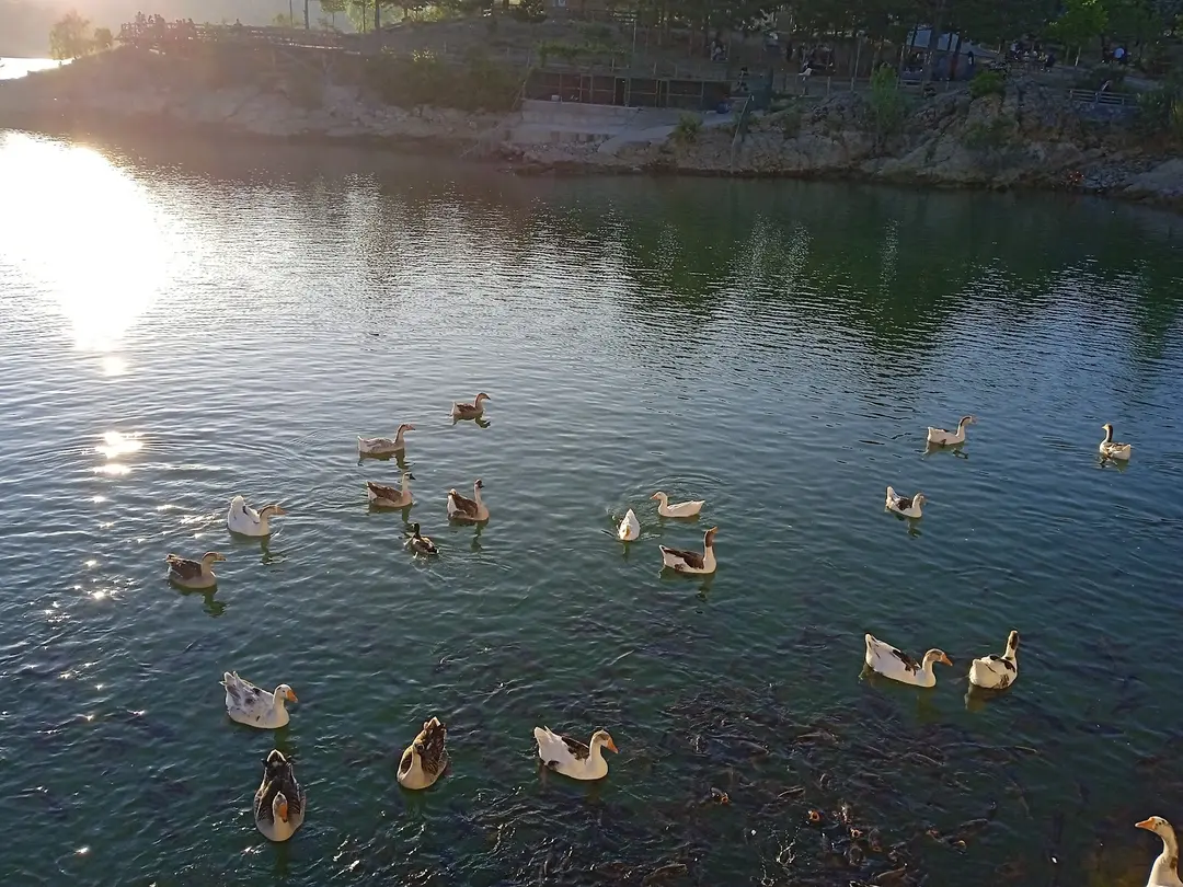 Sille Baraj Parkı — Konya — küçük resim 7