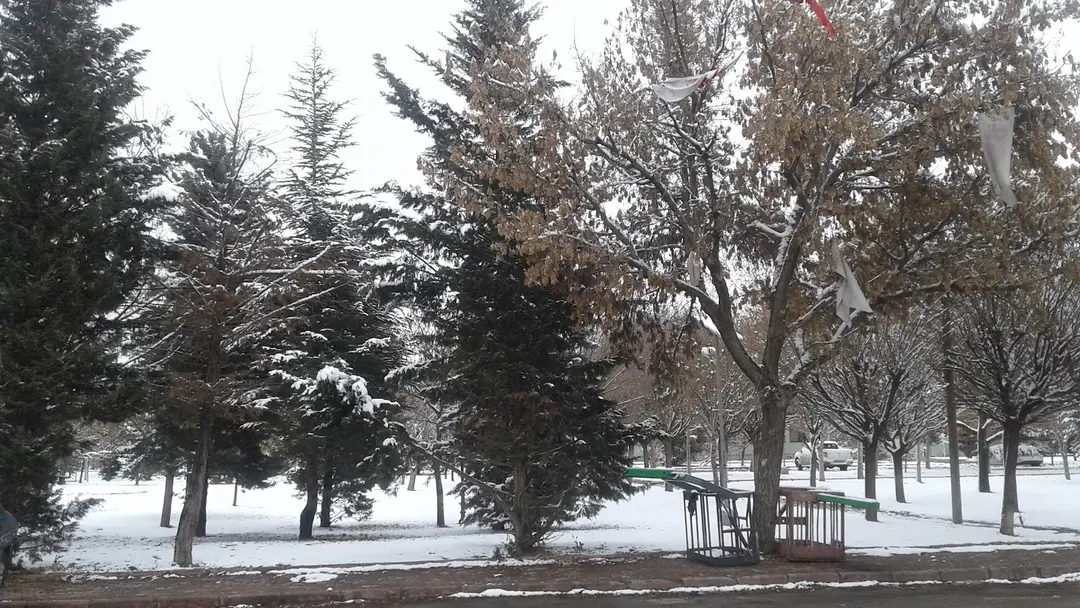 Yeşil Alan — Konya — küçük resim 2