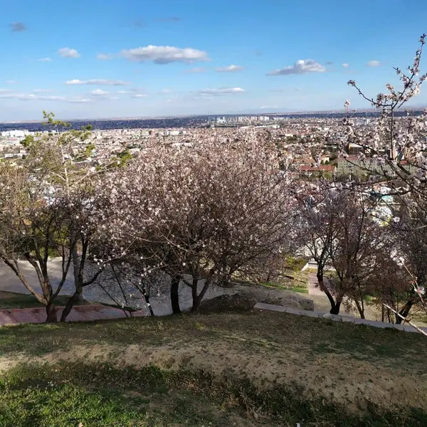 Akyokuş Mesire Yeri — Konya — küçük resim 5