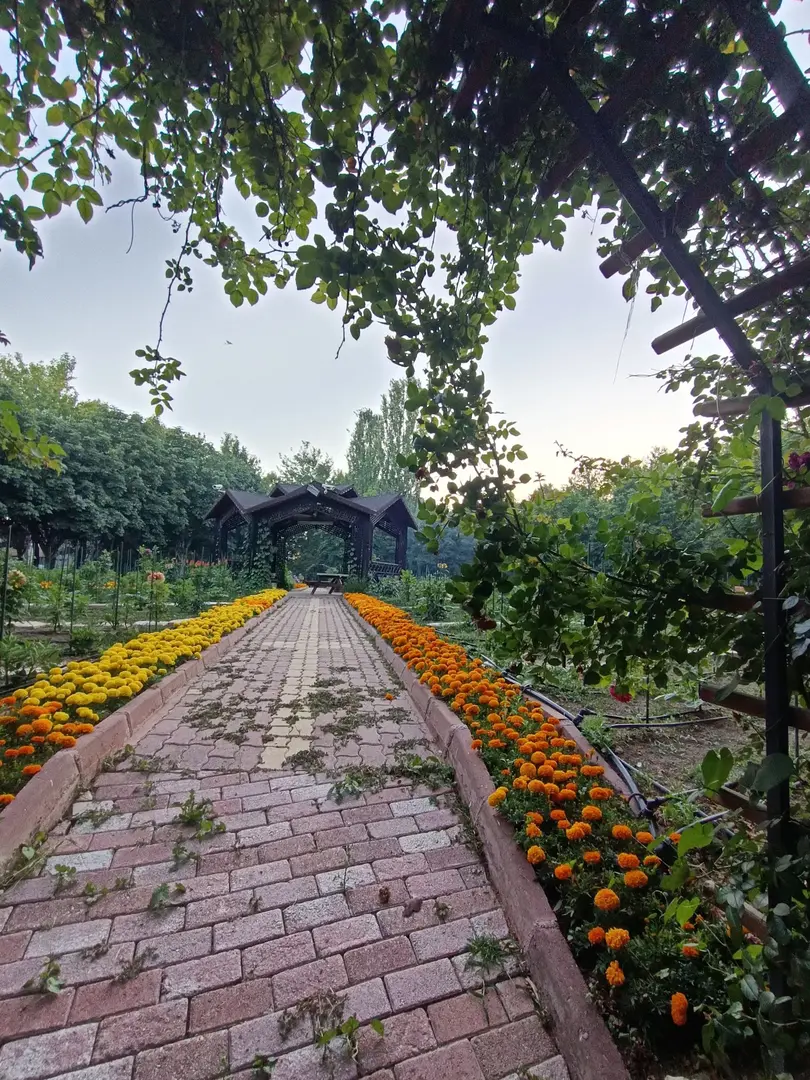 Kozağaç Park — Konya — küçük resim 8