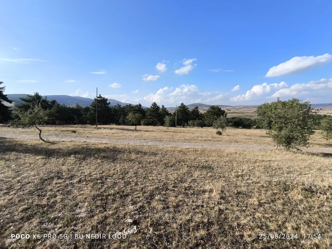 Hasan içi koruluğu — Konya — küçük resim 4