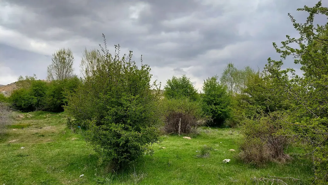 Değirmenköy Mesire Alanı — Konya — küçük resim 4